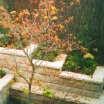 Adding the strength of stone to your terraced garden makes it an ideal choice. Calculated tree planting can become a feature in raised beds. The stone beds can also provide platform seating transforming your garden space into a pleasant sanctuary.